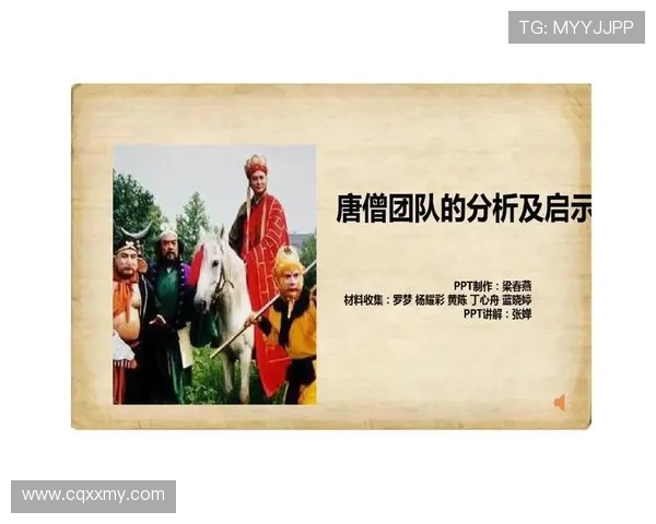 杭州排球队在世界杯中的团队协作表现分析与启示
