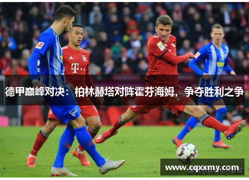德甲巅峰对决：柏林赫塔对阵霍芬海姆，争夺胜利之争