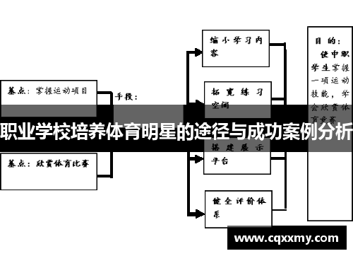 职业学校培养体育明星的途径与成功案例分析