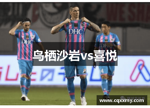 鸟栖沙岩vs喜悦